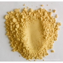 Nouvelle poussière de gingembre à l&#39;exportation de bonne qualité